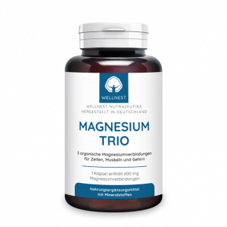 Magnesium-Trio: Magnesiumcitrat, -bisglycinat und -threonat 600 mg